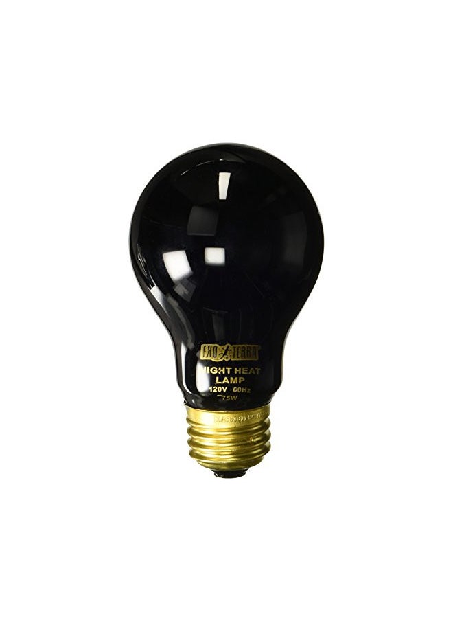 Exo Terra Exo Terra Night Glo Moonlight Heat Lamp, A19 Reptile Terrarium Light Bulb, 75 Watts, PT2130A1  - Image 1