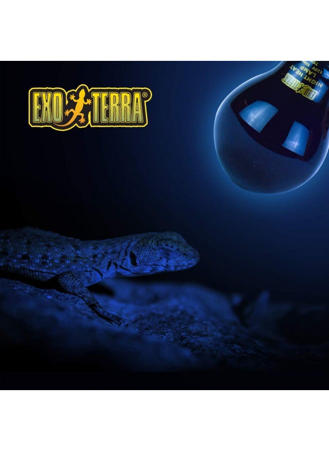 Exo Terra Exo Terra Night Glo Moonlight Heat Lamp, A19 Reptile Terrarium Light Bulb, 75 Watts, PT2130A1  - Image 3