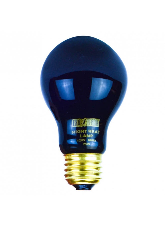 Exo Terra Exo Terra Night Glo Moonlight Heat Lamp, A19 Reptile Terrarium Light Bulb, 75 Watts, PT2130A1  - Image 5