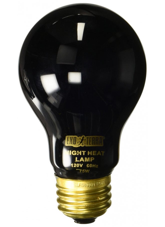 Exo Terra Exo Terra Night Glo Moonlight Heat Lamp, A19 Reptile Terrarium Light Bulb, 75 Watts, PT2130A1  - Image 2
