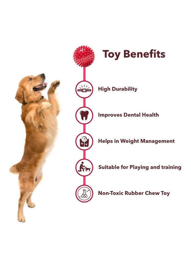 Pets Empire Non-Toxic Rubber Stud Spike Hard Ball Chew Toy, Puppy/Dog Teething Toy - 3 Inches Pack Of 2 - Image 3