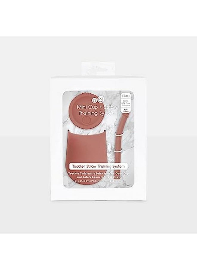 ezpz ezpz Mini Cup + Straw Training System- 100% Silicone Training Cup for Infants + Toddlers/Baby - Designed by a Pediatric Feeding Specialist - Non-Slip, Weighted Base & Tactile Bumps - 9 Months+(Sienna)  - Image 4