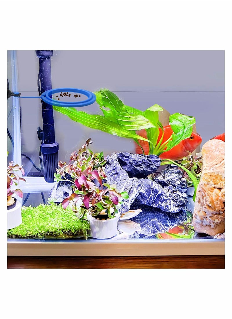 Y&D - Fish Feeding Ring 2 Pcs Safe Floating Food Feeder Circle Blue, with Suction Cup Easy to Install Aquarium, Turtle Tank Accessories(Square+Circle) - Image 1