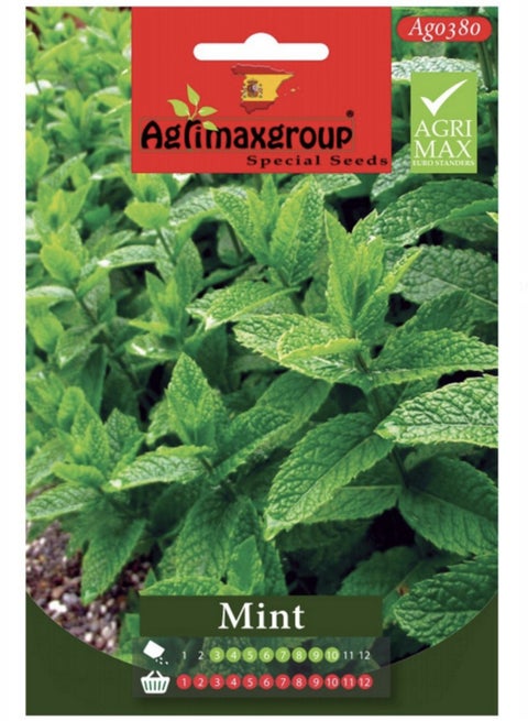 Mint Premium Quality Seeds by Agrimaxgroup