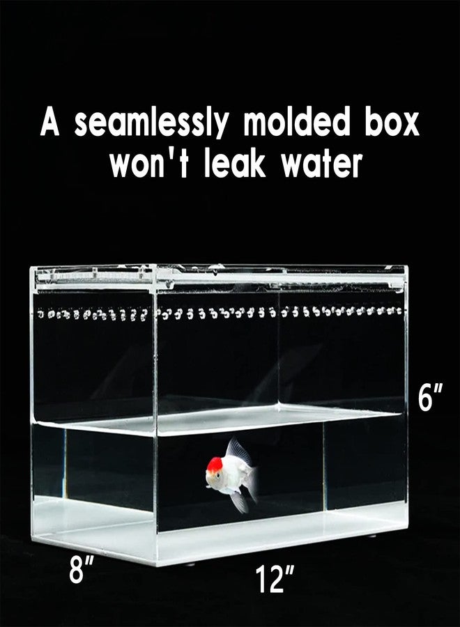 SANOSY Reptile Terrarium - Amphibian Tank Starter Kit, Eco Rainforest Feeding Box, Amphibian Feeding Box, Suitable for breeding Lizards, Snakes, Chameleons,Jumping Spiders - Image 4