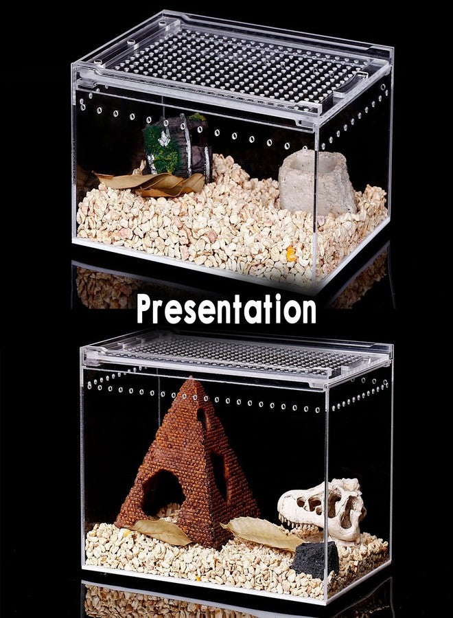 SANOSY Reptile Terrarium - Amphibian Tank Starter Kit, Eco Rainforest Feeding Box, Amphibian Feeding Box, Suitable for breeding Lizards, Snakes, Chameleons,Jumping Spiders - Image 5