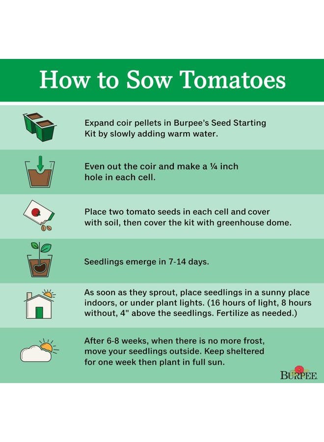 Burpee 61234E Big Boy Tomato, 125 seeds, Red - Image 4