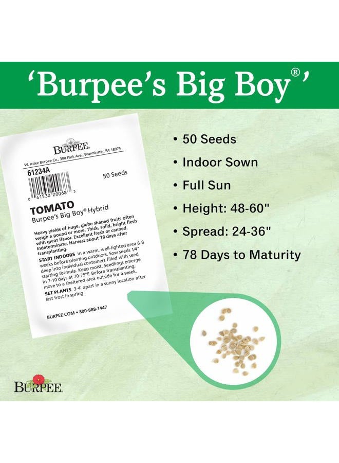 Burpee 61234E Big Boy Tomato, 125 seeds, Red - Image 3
