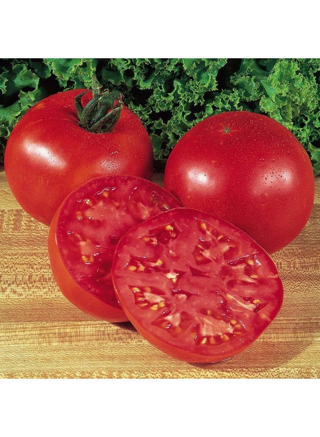 Burpee 61234E Big Boy Tomato, 125 seeds, Red - Image 1