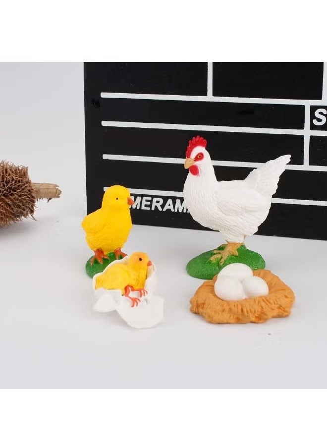 4 Piece Rooster Growth Cycle Model Figure, Realistic Animal Figurines, Animal Growth Cycle Biological Model, Lifelike Rooster Life Cycle Model Set for Kids Education, Learning Gifts, Party Favors - Image 3