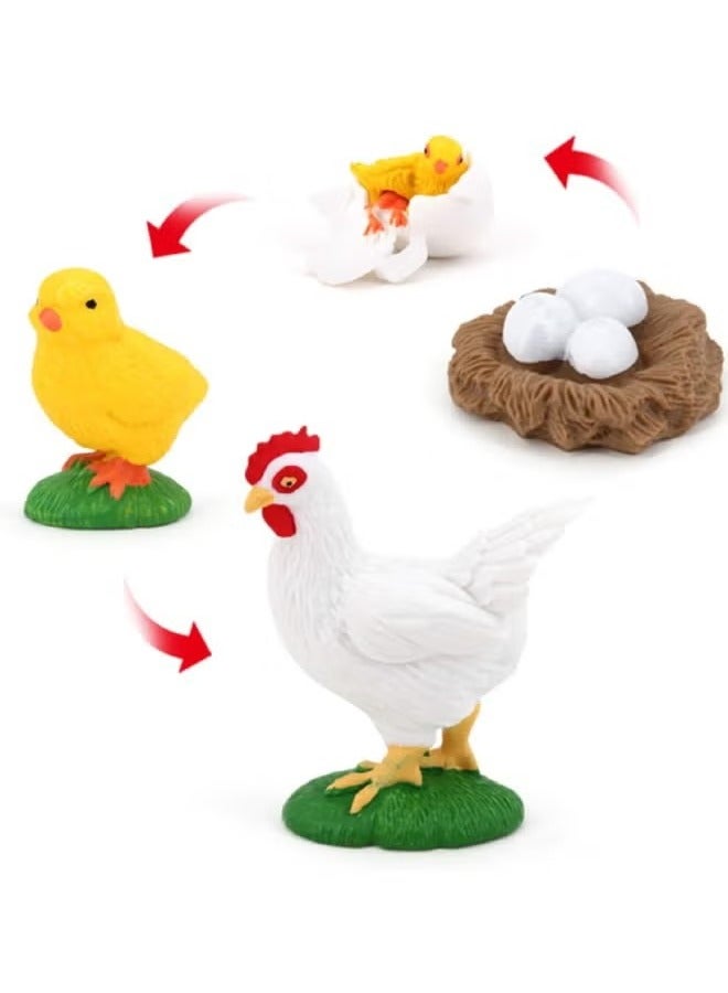 4 Piece Rooster Growth Cycle Model Figure, Realistic Animal Figurines, Animal Growth Cycle Biological Model, Lifelike Rooster Life Cycle Model Set for Kids Education, Learning Gifts, Party Favors - Image 2