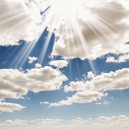 FHZON Blue Sky White Clouds Theme Photography Backdrops 10x10ft Clear Sky Kids Birthday Party Banner Newborn Baby Shower Photo Background Wedding Party Decor Studio Props - Image 2