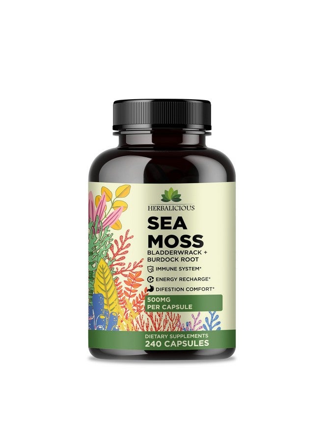HERBALICIOUS Sea Moss Capsules - Irish Sea Moss Pills with Bladderwrack & Burdock Root - 240 Capsules, 1000mg per Serving - Immune Support, Thyroid & Gut Health - Vegan Superfood Supplement