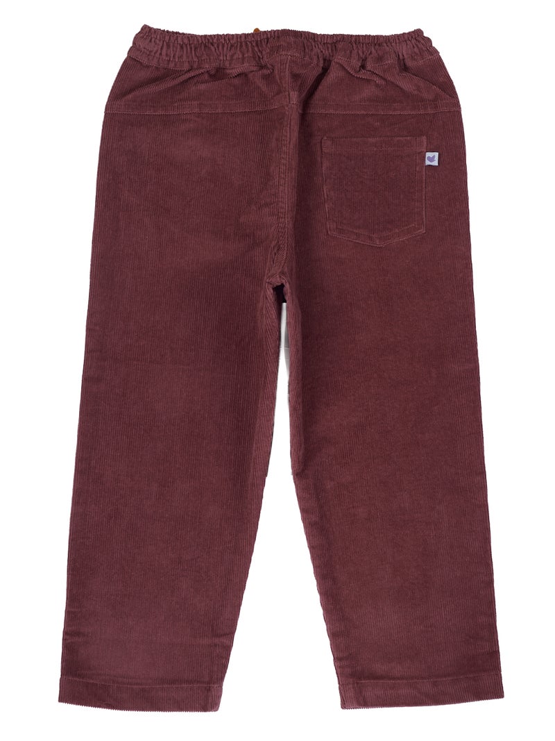Pranava Corduroy Full Length Pants for Kids - Rhubarb Red - Image 3