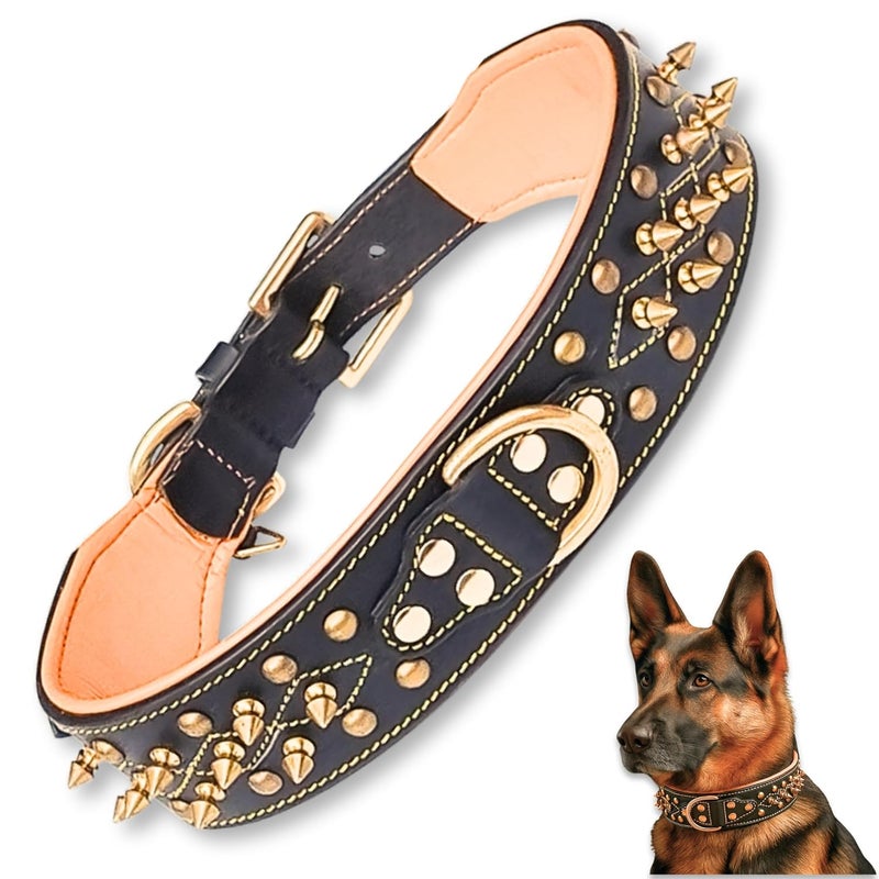 Rubby Premium Leather Dog Collar with Soft Padding, Brass Studs & Brass Spikes, Genuine Leather Collar for Dog, 2 inch Width Heavy Duty Collar for Heavy Dogs (Extra Large) - Image 1
