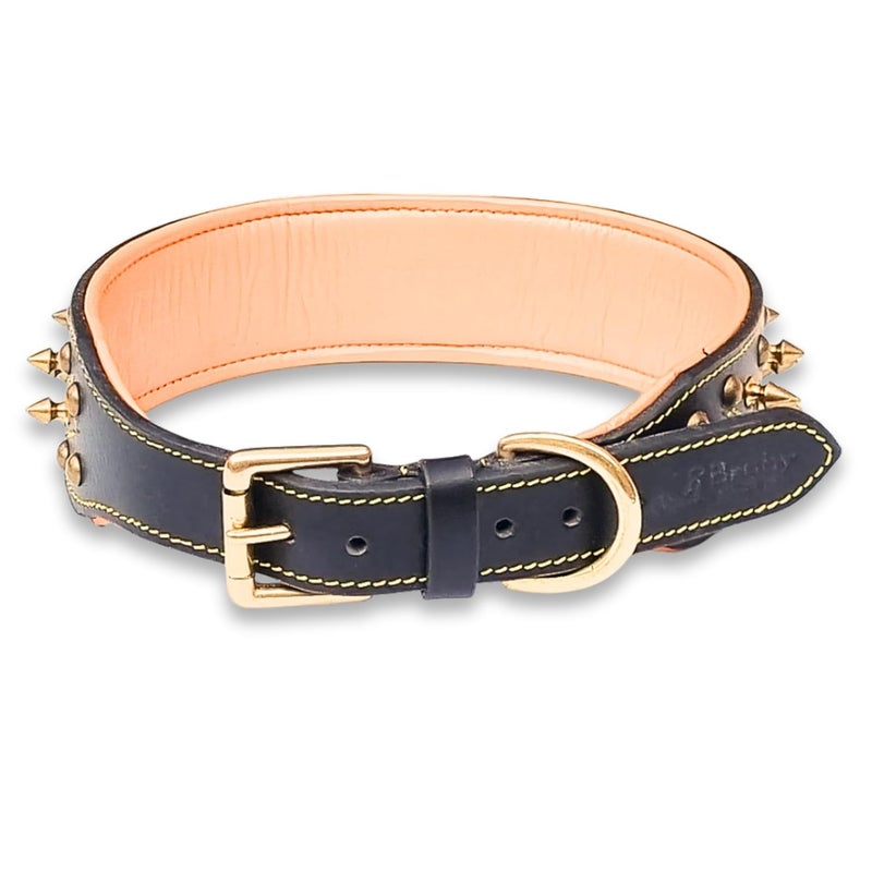 Rubby Premium Leather Dog Collar with Soft Padding, Brass Studs & Brass Spikes, Genuine Leather Collar for Dog, 2 inch Width Heavy Duty Collar for Heavy Dogs (Extra Large) - Image 4