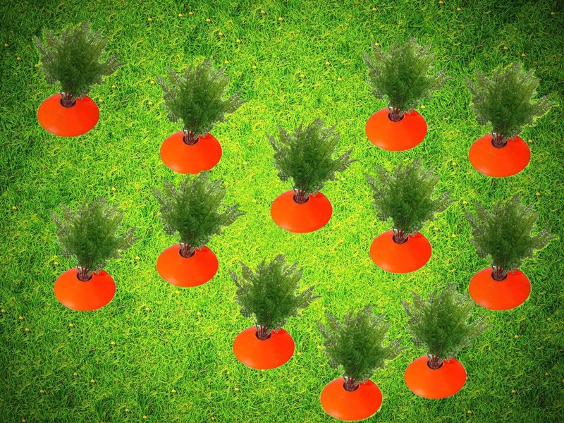 tyoungg Easter Yard Carrots Patch Large Spring Lawn Garden Yard Decor DIY 12 Sets (12) - Image 2