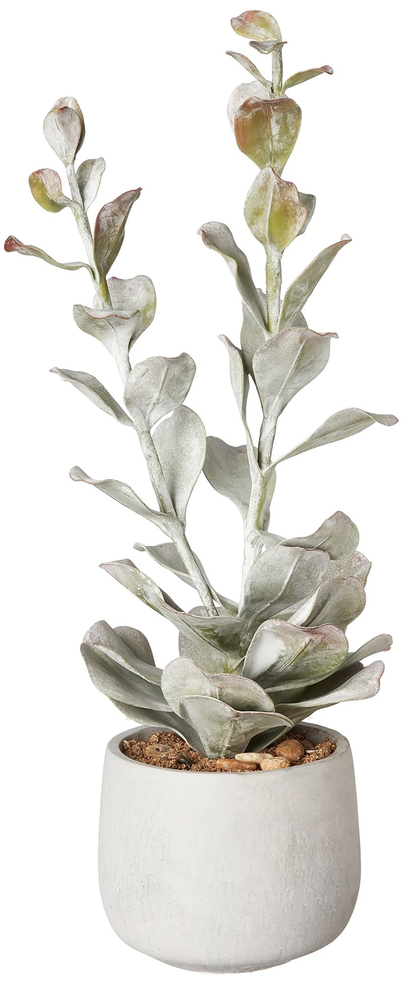 Creative Co-op Creative CoOp Faux Succulent in Cement Pot 