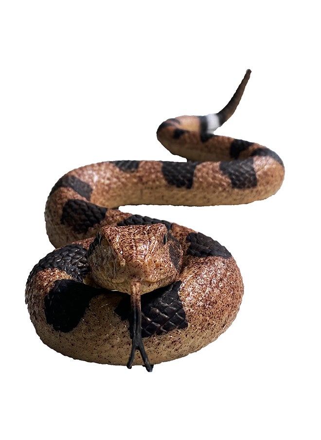 Galaxy Toys - Galaxy Toys Rattlesnake - Realistic Coiled Snake Toy with Distinctive Rattle and Defensive Posture - Image 1