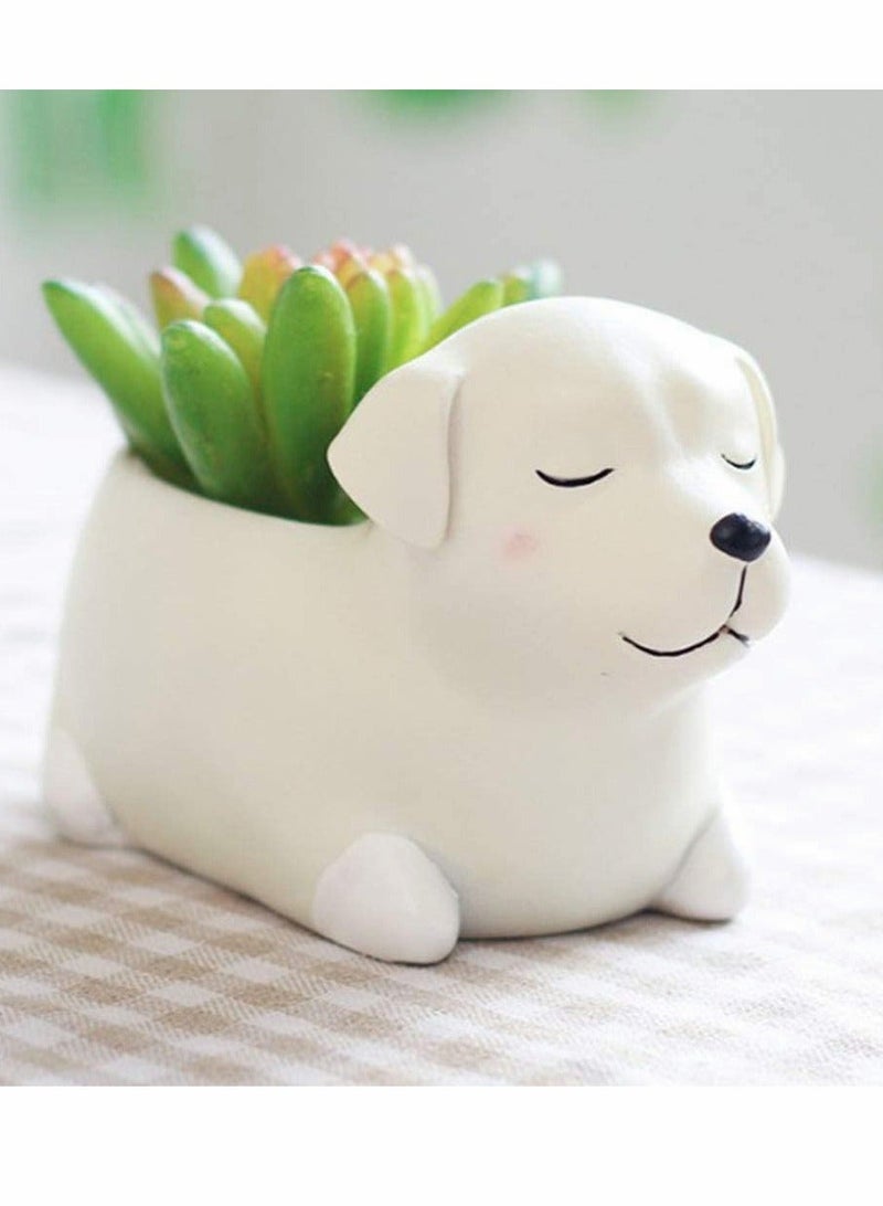 C ute Cartoon Animal Shaped Ceramic Succulent Cactus Flower Pots Planters vase for Home Garden Office Desktop Decoration A6 - Image 1