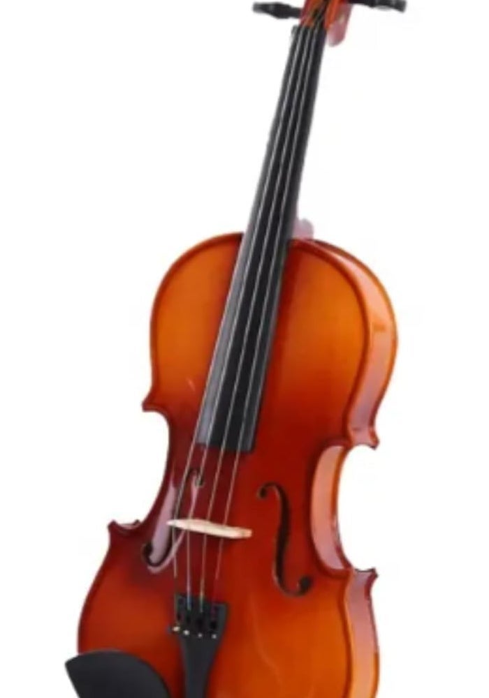 MegArya Handmade 4/4 Acoustic Violin Set - Image 2