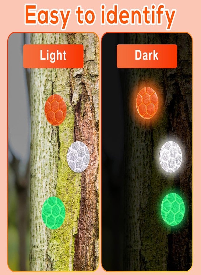 XIHIRCD 100pcs Reflective Tacks Trail Marking Tacks, Glow Tacks Reflective Trail Markers Hunting Reflector Tacks Mark Trail Reflective Thumb Tacks for Hunting Hiking Camping Tree Stand(5 Colors) - Image 5