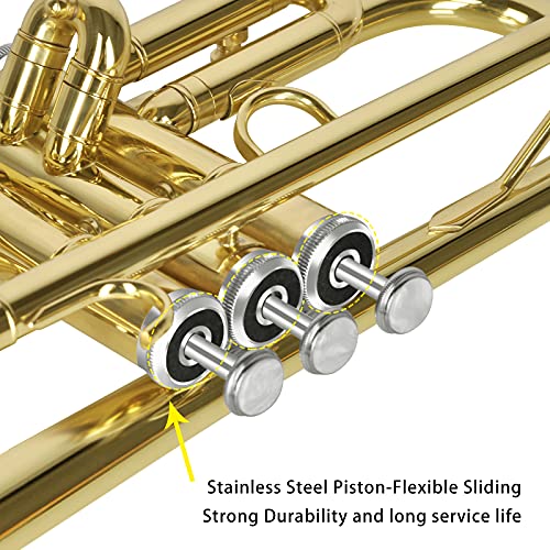 EASTROCK Bb Trumpet Standard Trumpet Set with Carrying Case,Gloves, 7C Mouthpiece and Cleaning Kit (Gold) - Image 2