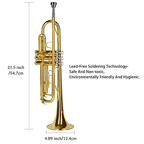 EASTROCK Bb Trumpet Standard Trumpet Set with Carrying Case,Gloves, 7C Mouthpiece and Cleaning Kit (Gold) - Image 5