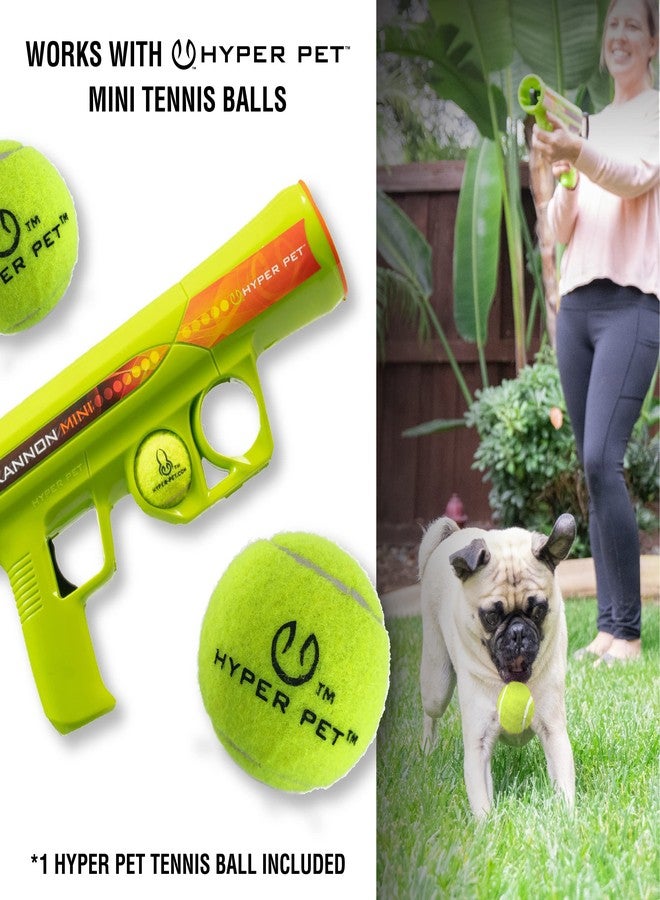 Hyper Pet MINI K9 Kannon Dog Ball Thrower Launcher for Dogs (Small Breeds Up To 20 Pounds), Includes One Hyper Pet 2 Inch Tennis Ball - Image 2