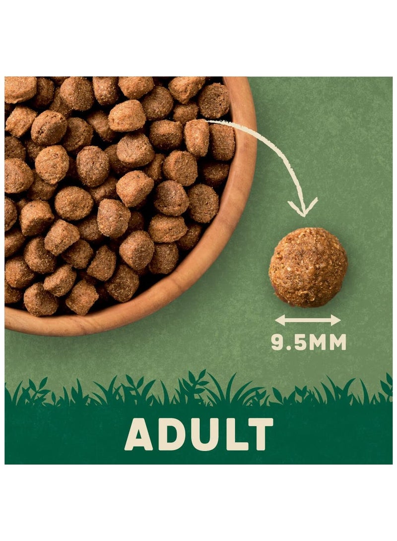 HARRINGTONS Complete Dry Adult Dog Food Lamb & Rice 15 kg - Made with All Natural Ingredients - Image 3