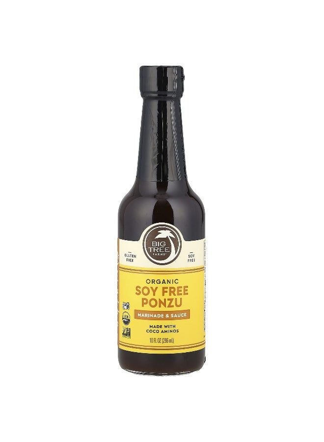 Big Tree Farms, Organic Soy Free Ponzu, Marinade & Sauce, 10 fl oz (296 ml) - Image 1