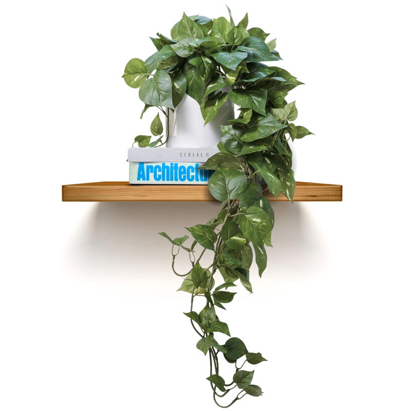 MY ROVALA Silk Plants for Home Decor Indoor in Pot Realistic Artificial Plants Hanging Faux Plants Indoor Fake Potted Plants for Shelves Bedroom Bathroom Trailing Plant, Fake Pothos Ivy (Dark Green) - Image 1