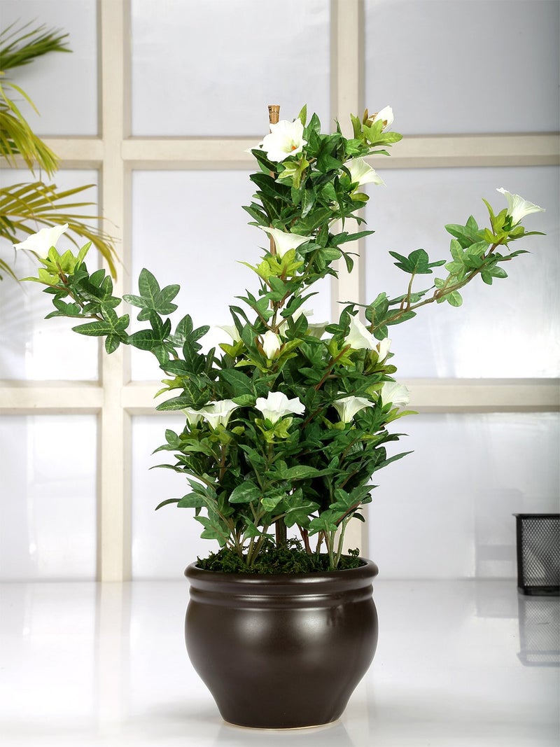 Fourwalls Premium Range Artificial Morning Glory Plant with Stylish Ceramic Vase (50 cm Tall, White) - Image 1