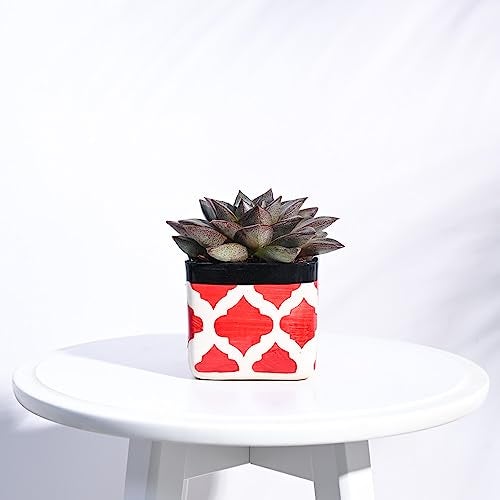 UGAOO Square Rose Red Ceramic Pot - Diameter 3.5 Inch | Ceramic Planter for Indoor Outdoor Plants | Flower Pot for Home, Office, Balcony, Garden Decor - Image 1