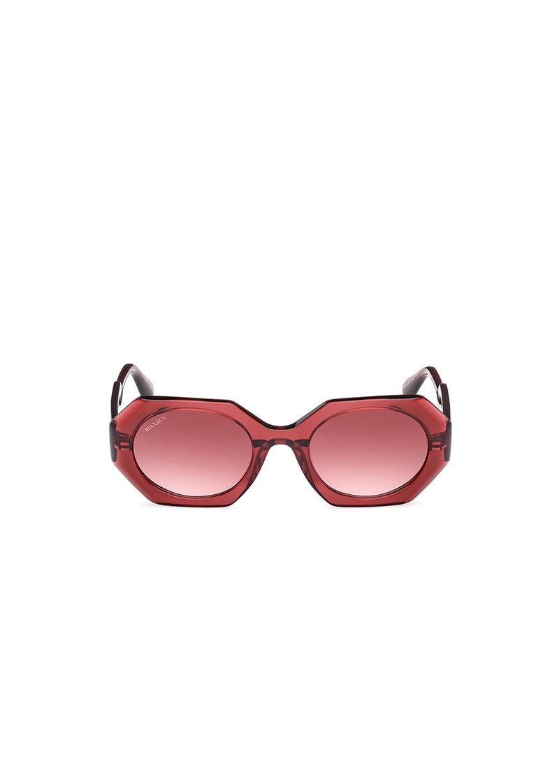 MAXCO Wayfarers Sunglasses  - Image 1