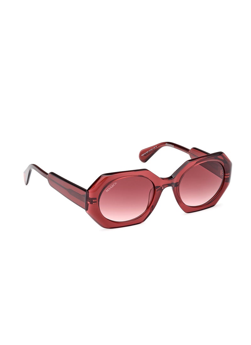 MAXCO Wayfarers Sunglasses  - Image 3