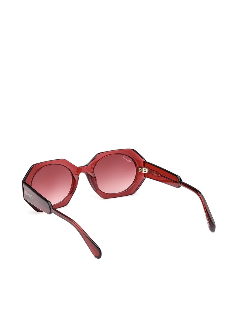 MAXCO Wayfarers Sunglasses  - Image 5