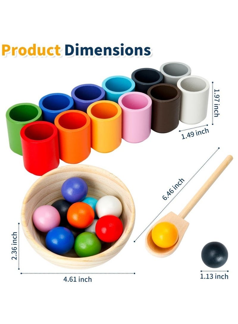 general 12 Balls Colour Sorting Toys for Toddlers, Balls in Cups Montessori Wooden Toy, Wooden Sorter Game, Wood Sensory Puzzle Toys Matching Game with Sorting Bowls for Kids Counting - Image 2