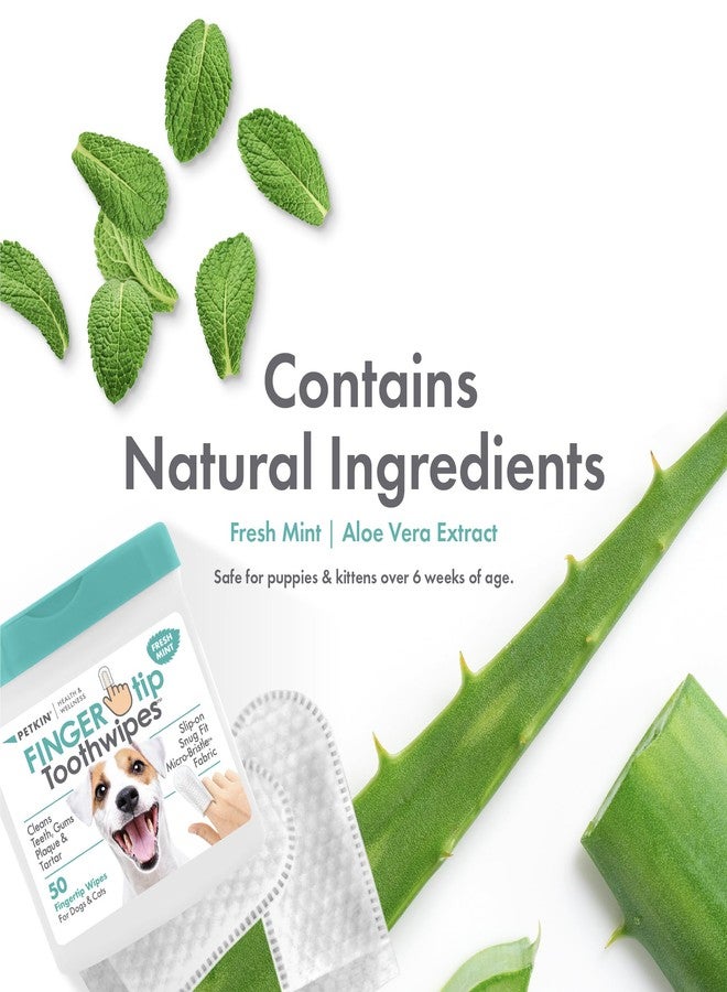 بيتكين مناديل بيتكين لتنظيف أسنان الكلاب والقطط، 50 منديلًا - سهلة الارتداء، ملائمة تمامًا، مصنوعة من قماش ذي شعيرات دقيقة - تنظف الأسنان واللثة والجير - مريحة، مثالية للاستخدام المنزلي والسفر - بنكهة النعناع المنعش - Image 4