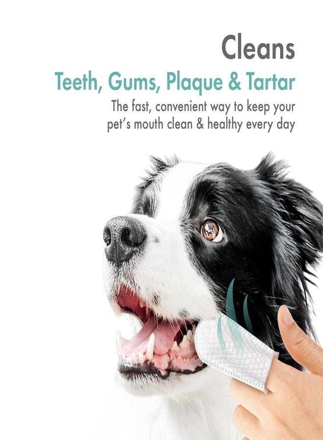 بيتكين مناديل بيتكين لتنظيف أسنان الكلاب والقطط، 50 منديلًا - سهلة الارتداء، ملائمة تمامًا، مصنوعة من قماش ذي شعيرات دقيقة - تنظف الأسنان واللثة والجير - مريحة، مثالية للاستخدام المنزلي والسفر - بنكهة النعناع المنعش - Image 3