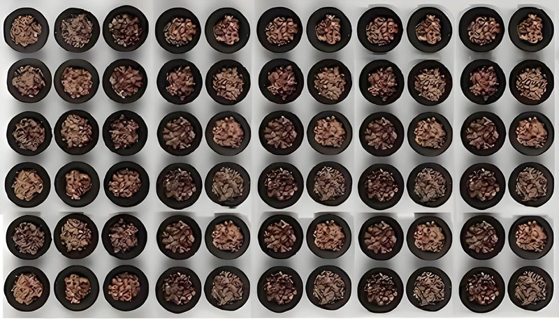 AL-Bi Cup Sambrani Religious Rituals (60 pcs) Dhoop Cups, Pure Natural Guggal Raw Dhoop Cup with Sambrani - Image 1