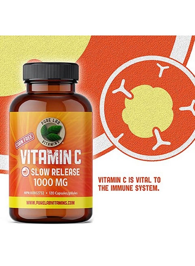 Pure Lab Vitamins Vitamin C 1000 mg - Tapioca Source - 120 Vegi DRC Caps by Pure Lab Vitamins (DRC - Delayed Release caps) Corn Free Made in Canada - Image 5