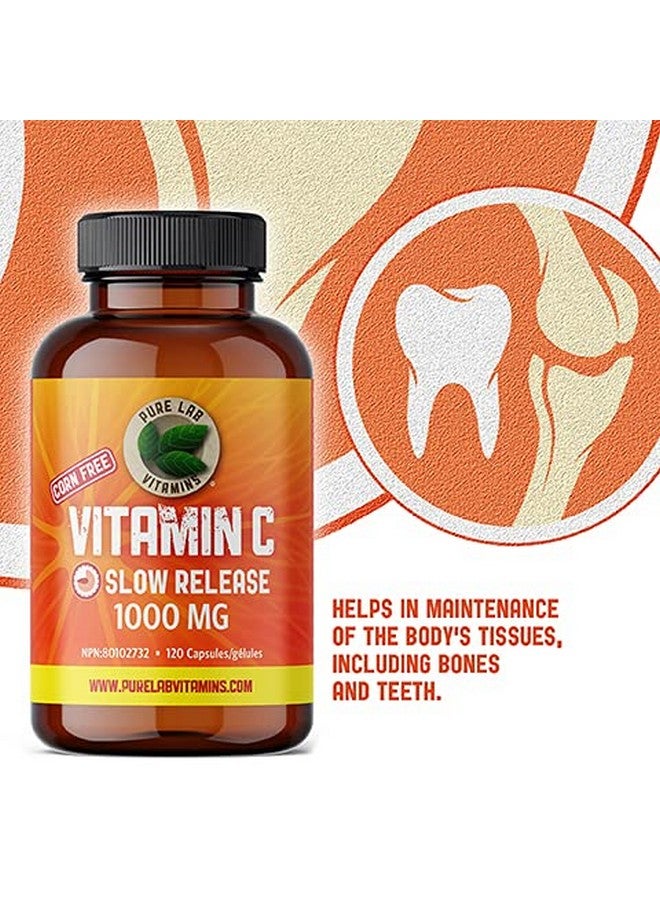 Pure Lab Vitamins Vitamin C 1000 mg - Tapioca Source - 120 Vegi DRC Caps by Pure Lab Vitamins (DRC - Delayed Release caps) Corn Free Made in Canada - Image 3