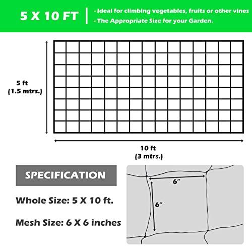 NABAAT Plant Climbing Creeper/Trellis Net for Vine Supporting, 5 Feet X 10 Feet (1.5 m X 3 m) Green House Netting for Terrace Gardening and Agriculture, (Black) Pack of 3 - Image 3