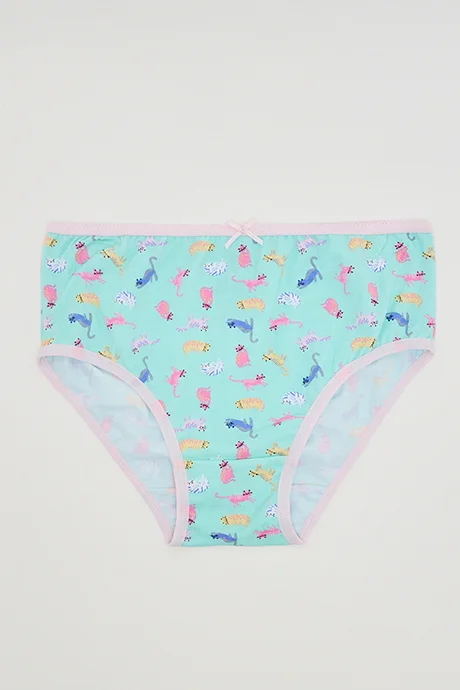 أر أند بي 5 Pack Printed Bikini Briefs