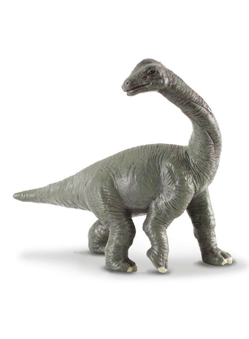 Collecta - Brachiosaurus Baby - 88200