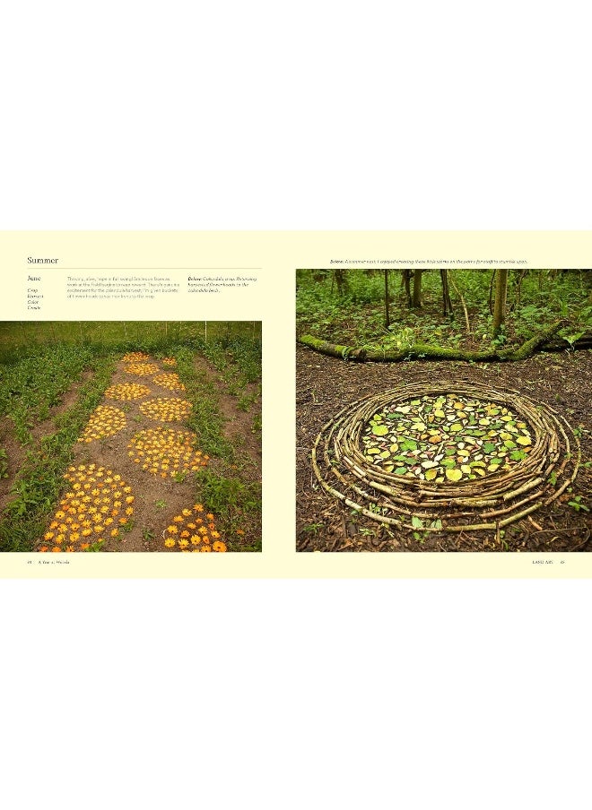 null - Land Art: Creating Artworks in and with the Landscape - Image 1