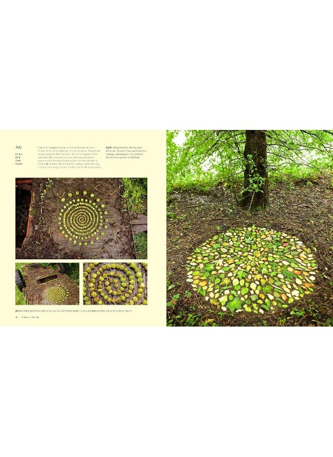 null - Land Art: Creating Artworks in and with the Landscape - Image 1