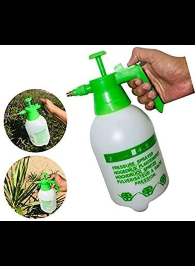 ABBASALI 2 Liter Pressure Sprayer Money Plant With PVC Pot  - Image 2