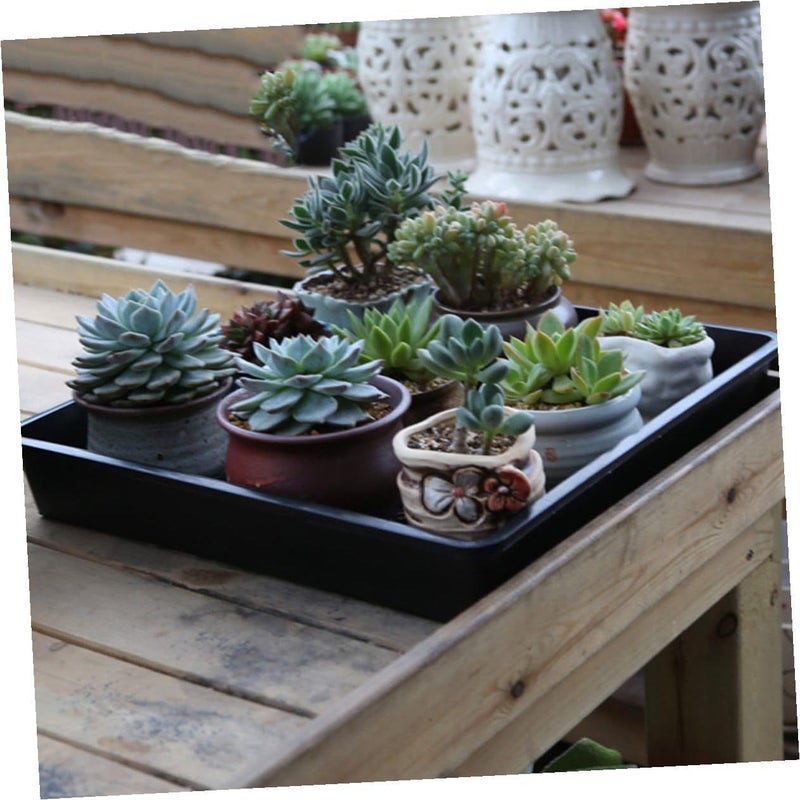 Thickened Plastic Nursery Pots And Trays Set For Seedling Propagation Black - Image 5